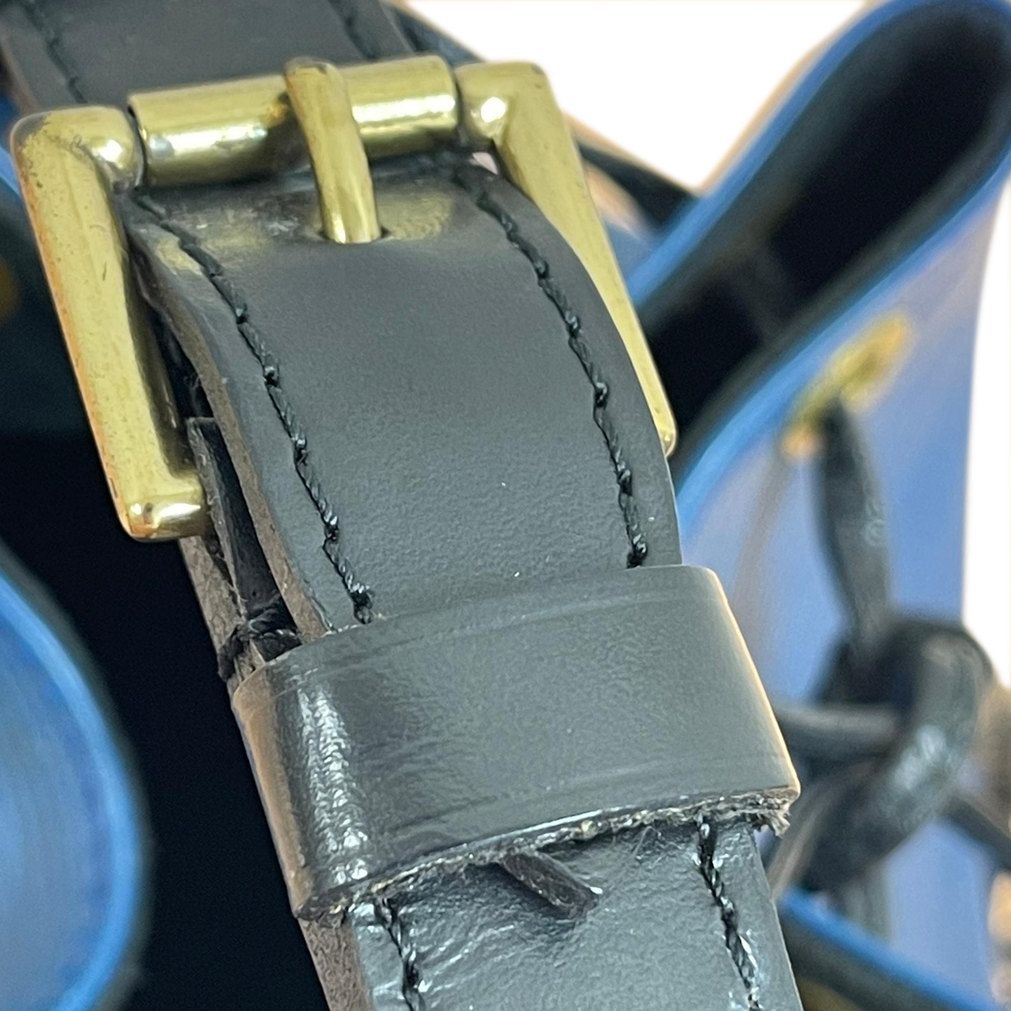 Louis Vuitton Epi Bicolor Petit Noe (SHG-SnkOtT)
