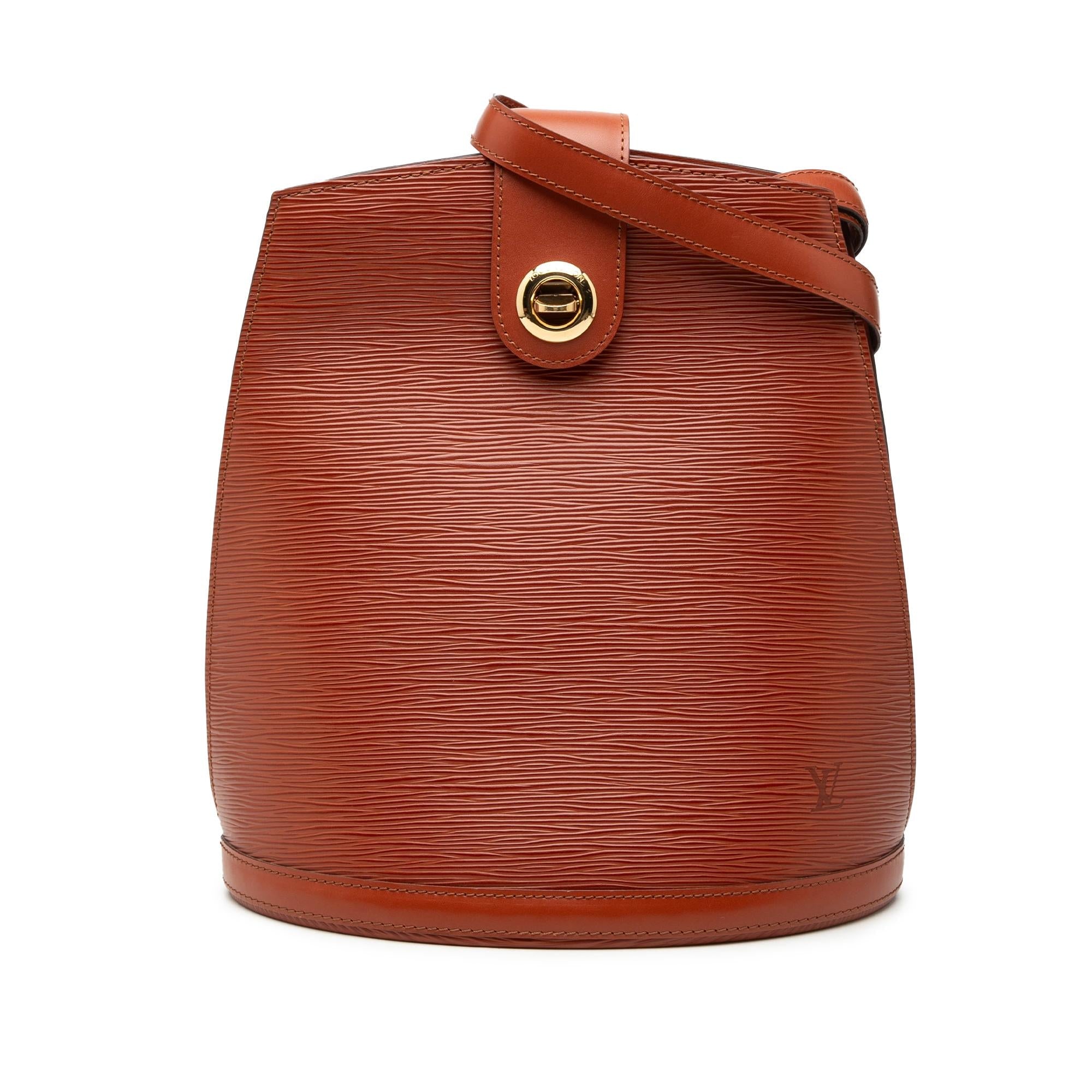 Louis Vuitton Epi Cluny