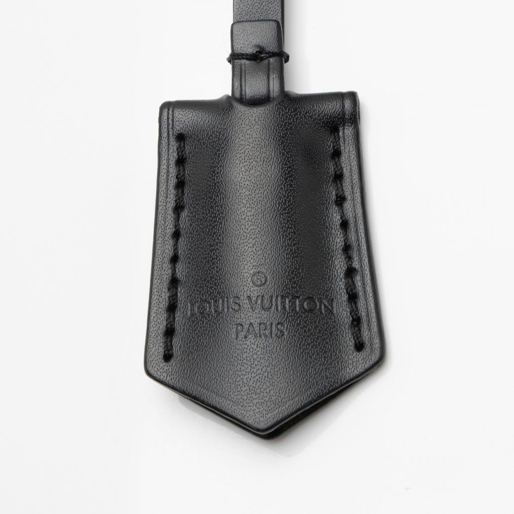 Louis Vuitton Epi Leather Cluny BB Satchel (SHF-naLSrm)