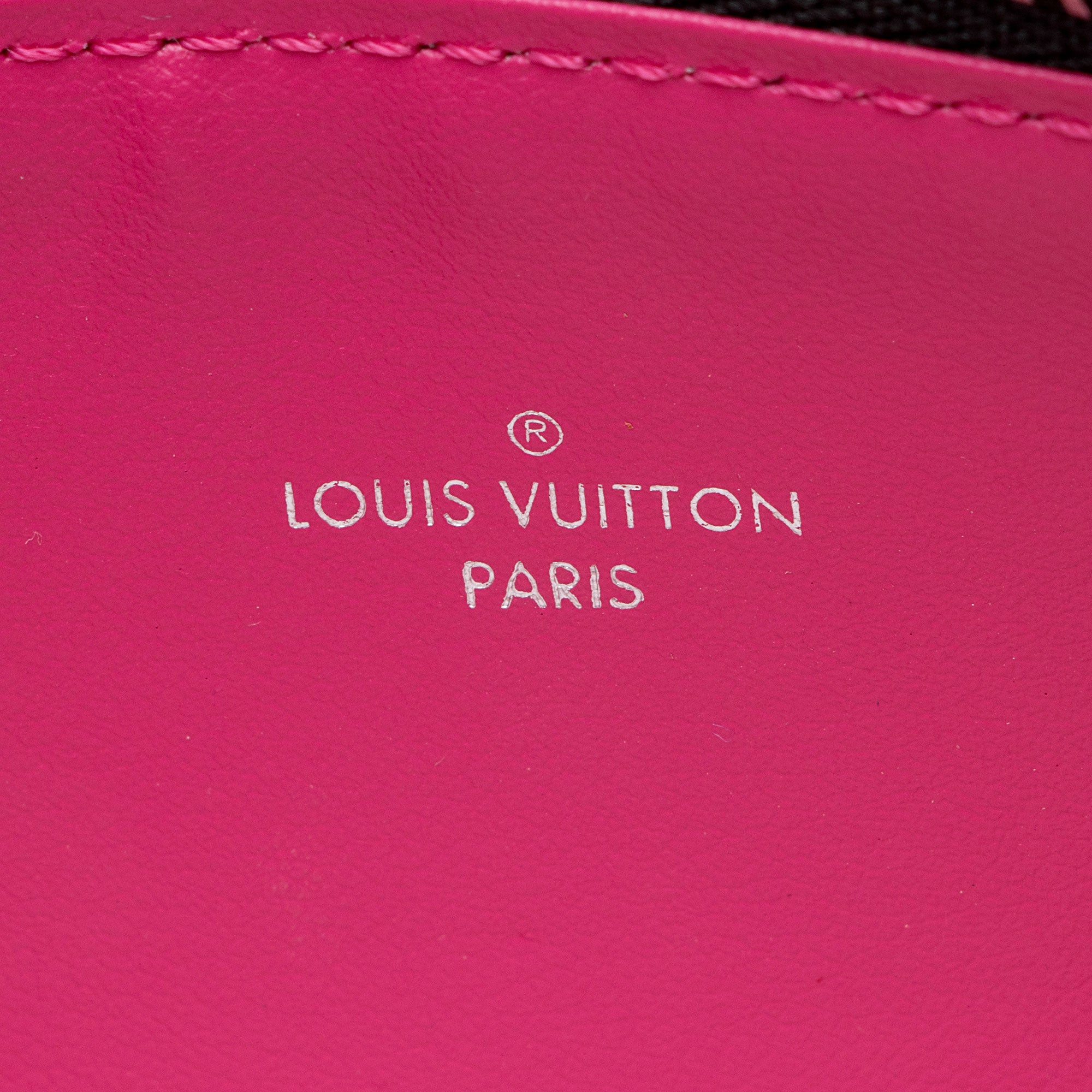 Louis Vuitton Epi Leather Felicie Insert