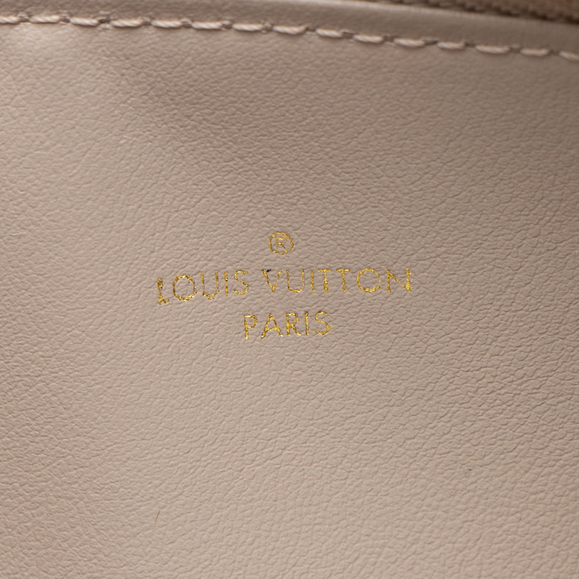 Louis Vuitton Epi Leather Felicie Insert