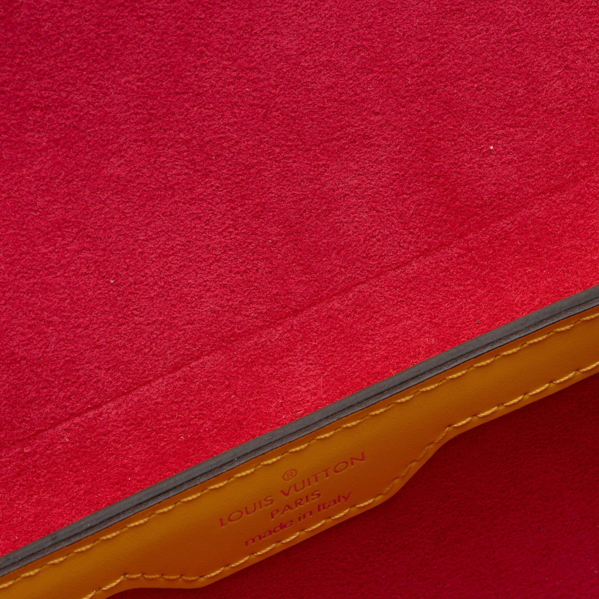 Louis Vuitton Epi Leather Papillon Trunk Bag