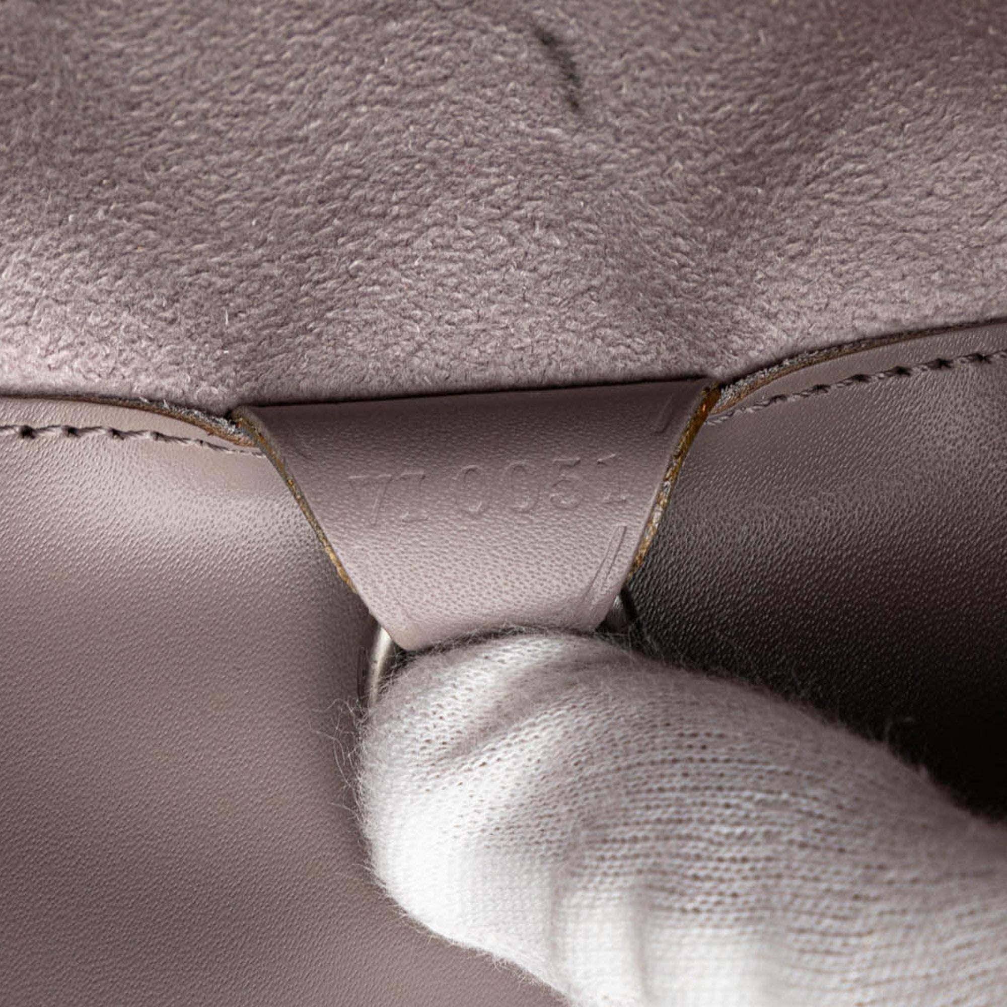 Louis Vuitton Epi Noctambule