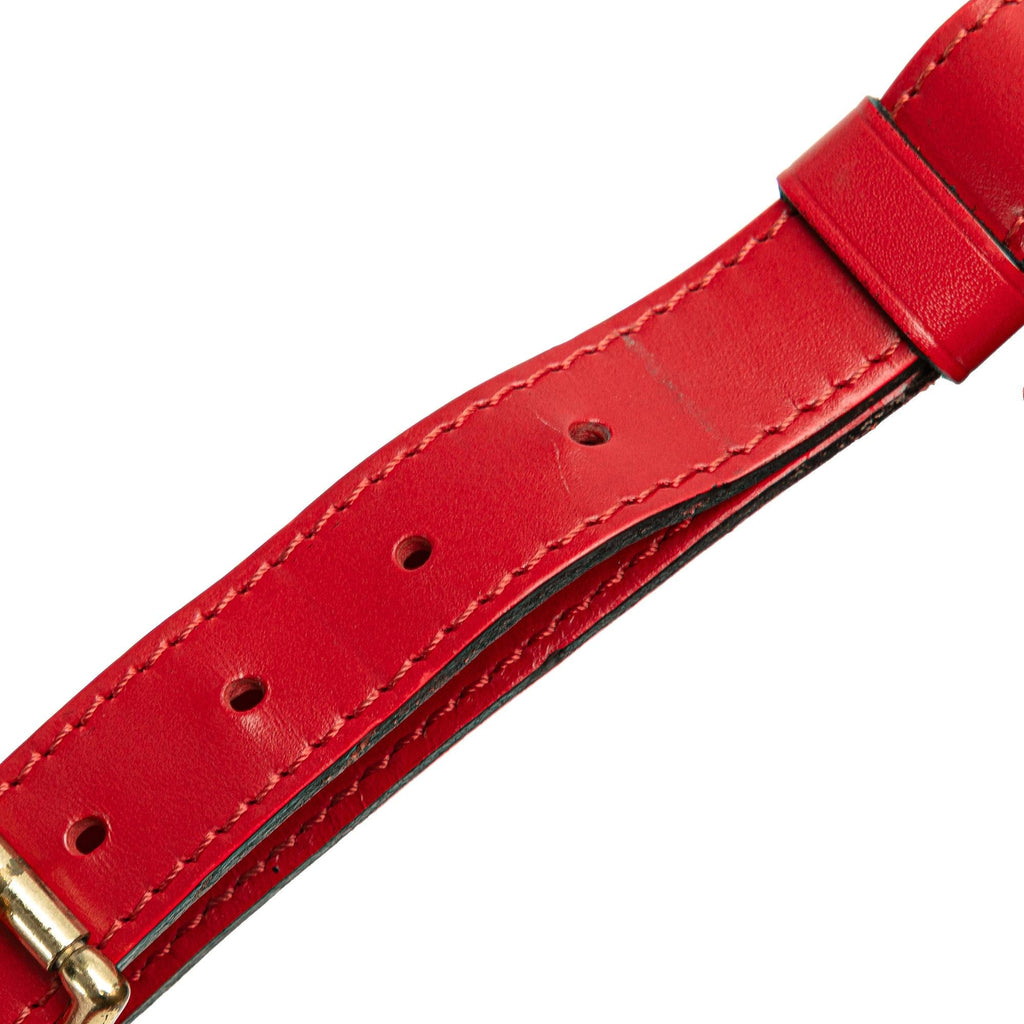Louis Vuitton Epi Noe GM