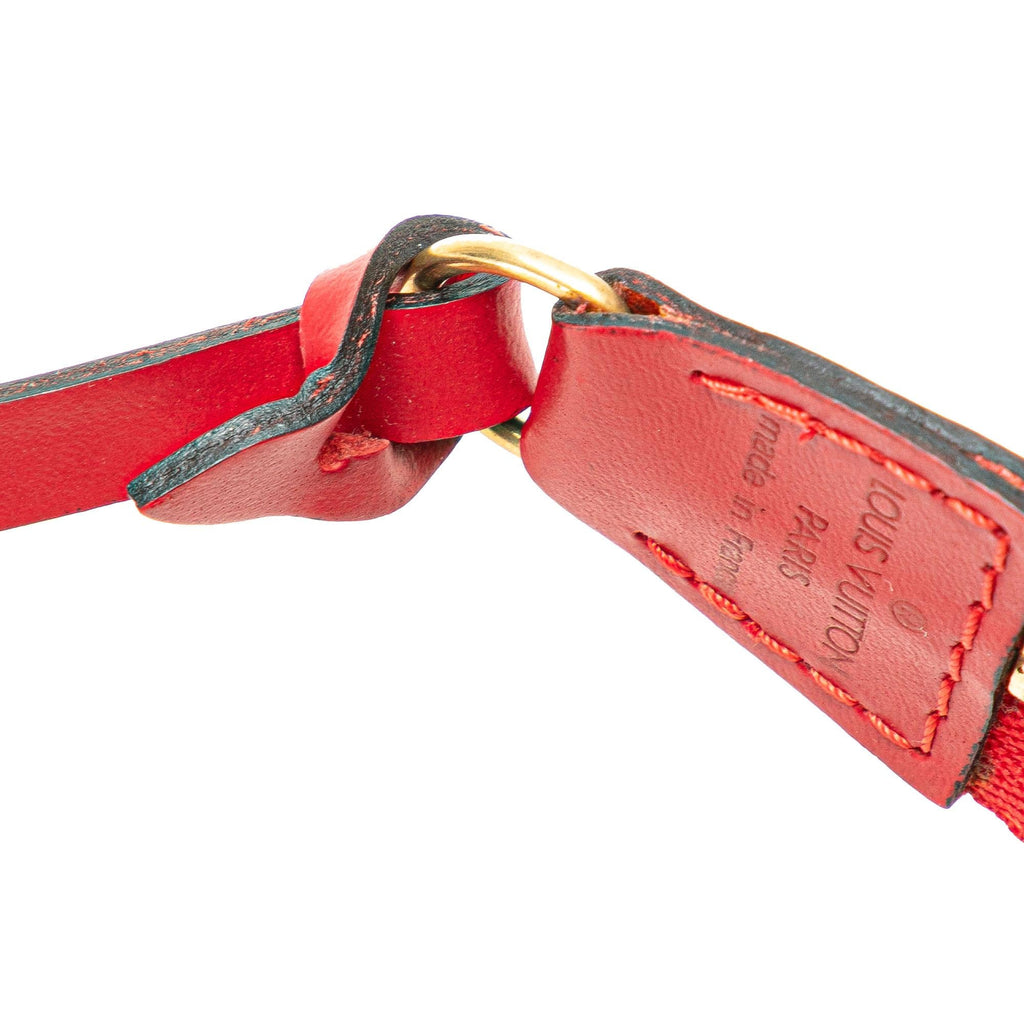 Louis Vuitton Epi Pochette Accessoires