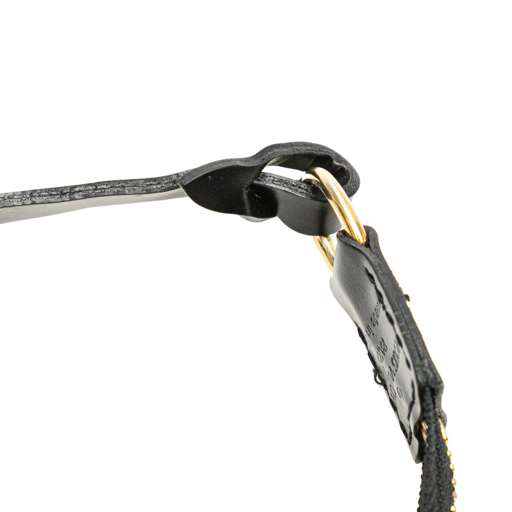 Louis Vuitton Epi Pochette Accessoires