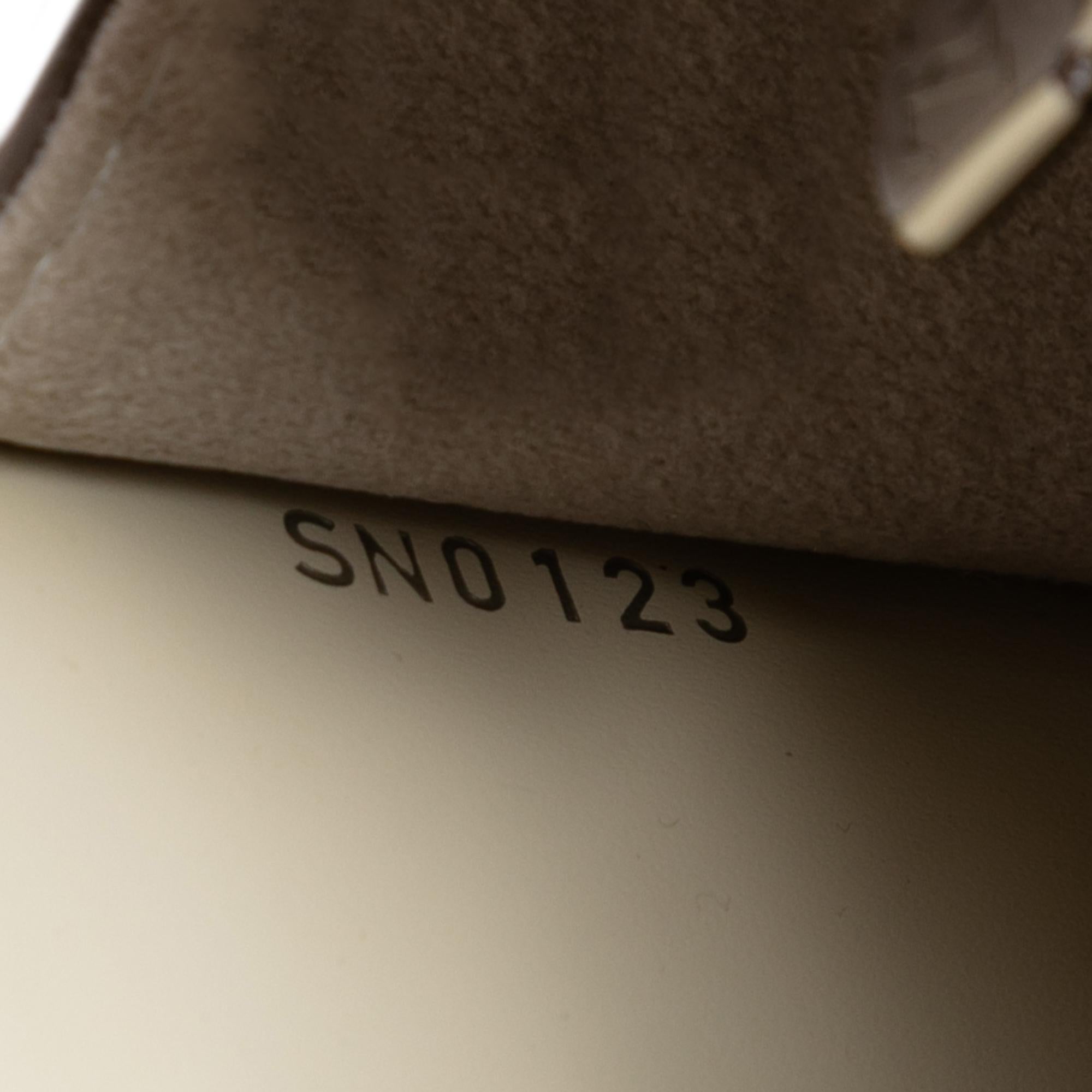 Louis Vuitton Epi Sevigne Clutch