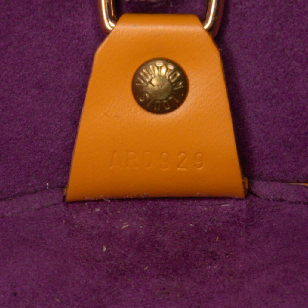 Louis Vuitton Epi Soufflot