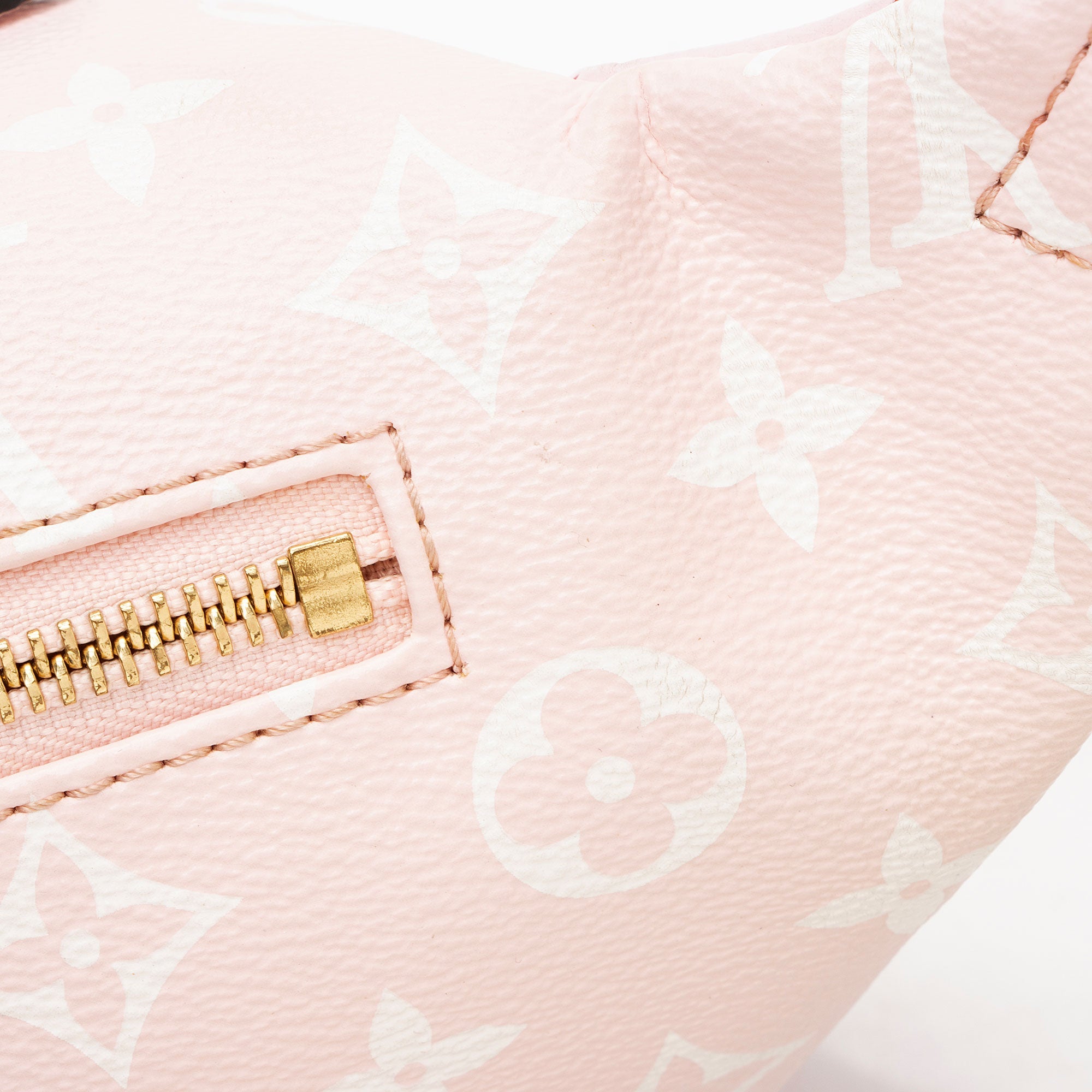 Louis Vuitton Giant Monogram Canvas Bumbag