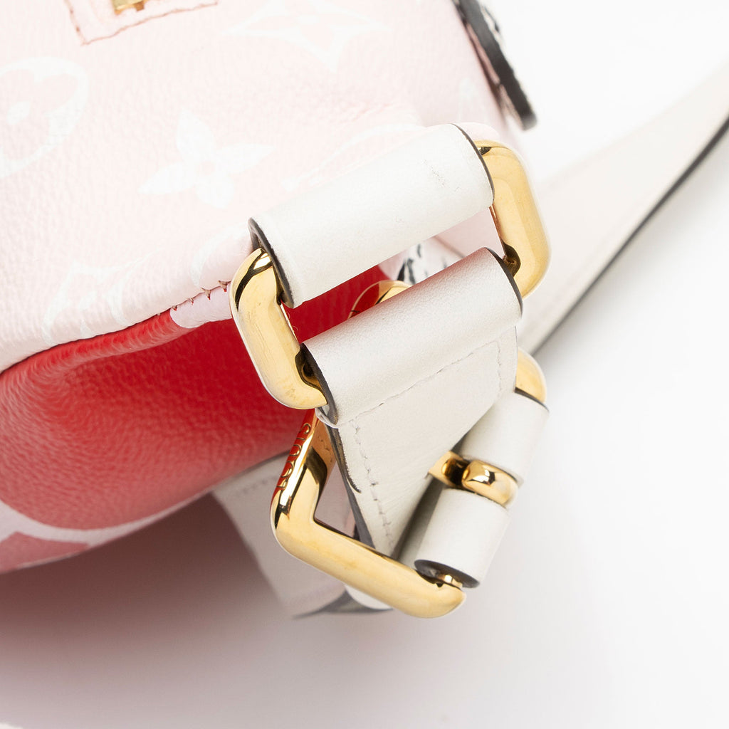 Louis Vuitton Giant Monogram Canvas Bumbag