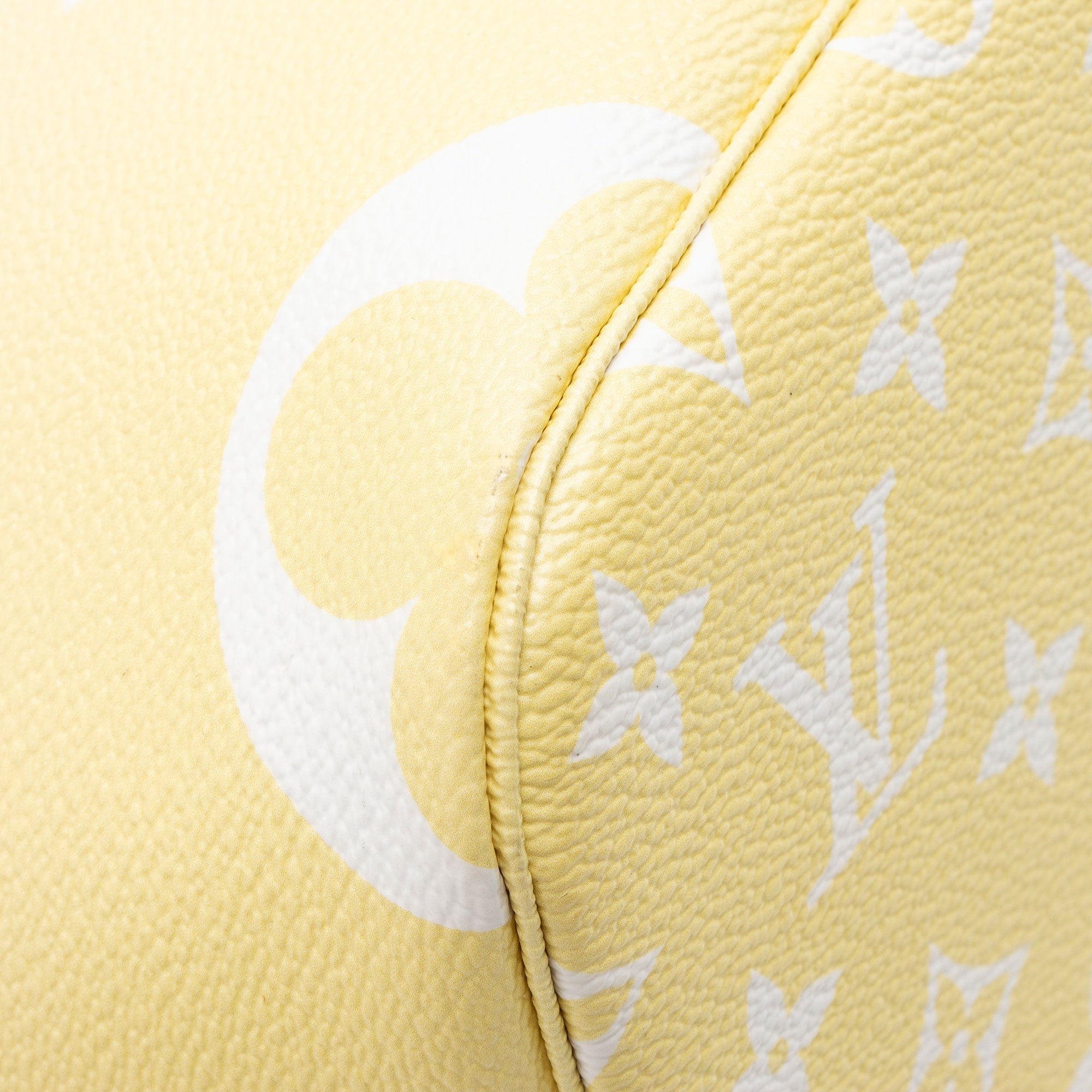 Louis Vuitton Giant Monogram Canvas By The Pool Neverfull MM Tote