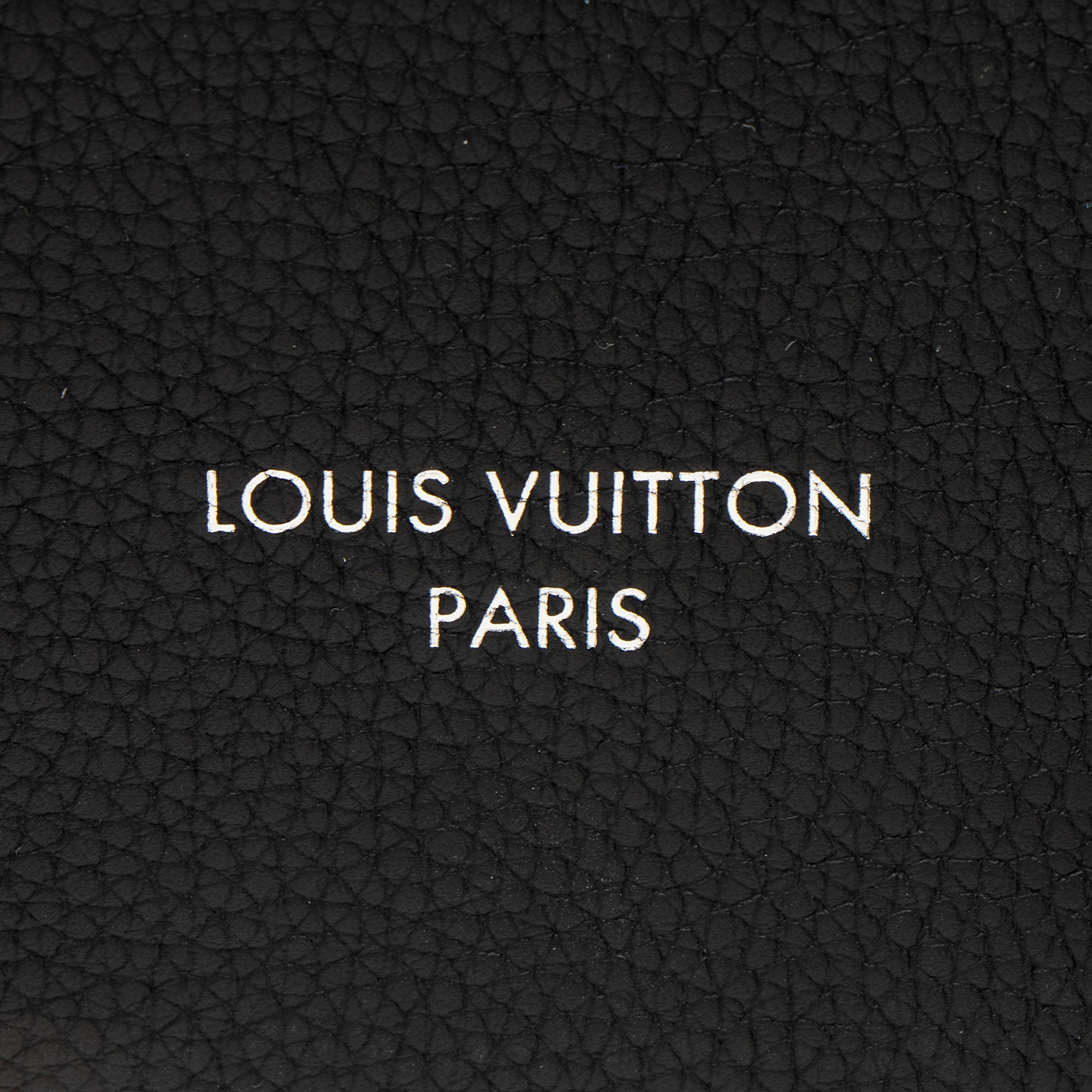 Louis Vuitton Leather Pochette