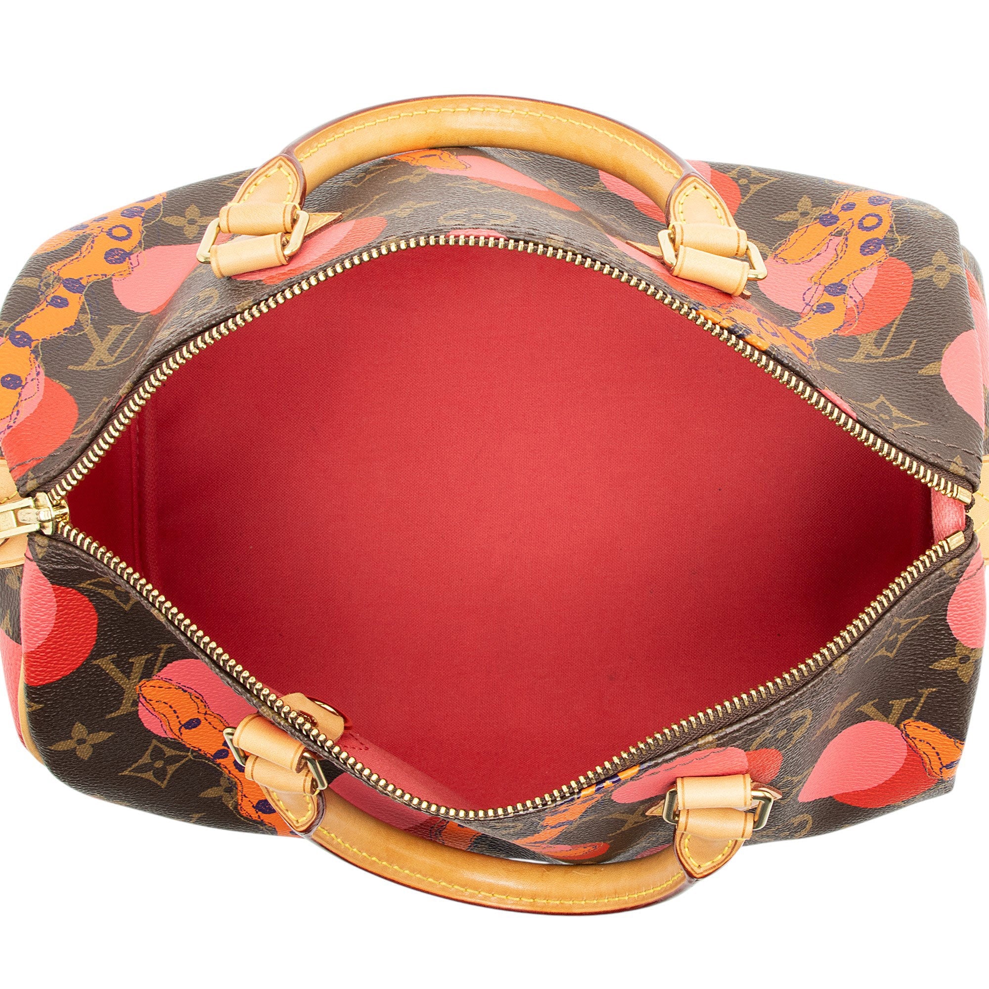 Louis Vuitton Limited Edition Monogram Canvas Ramages Speedy 30 Satchel