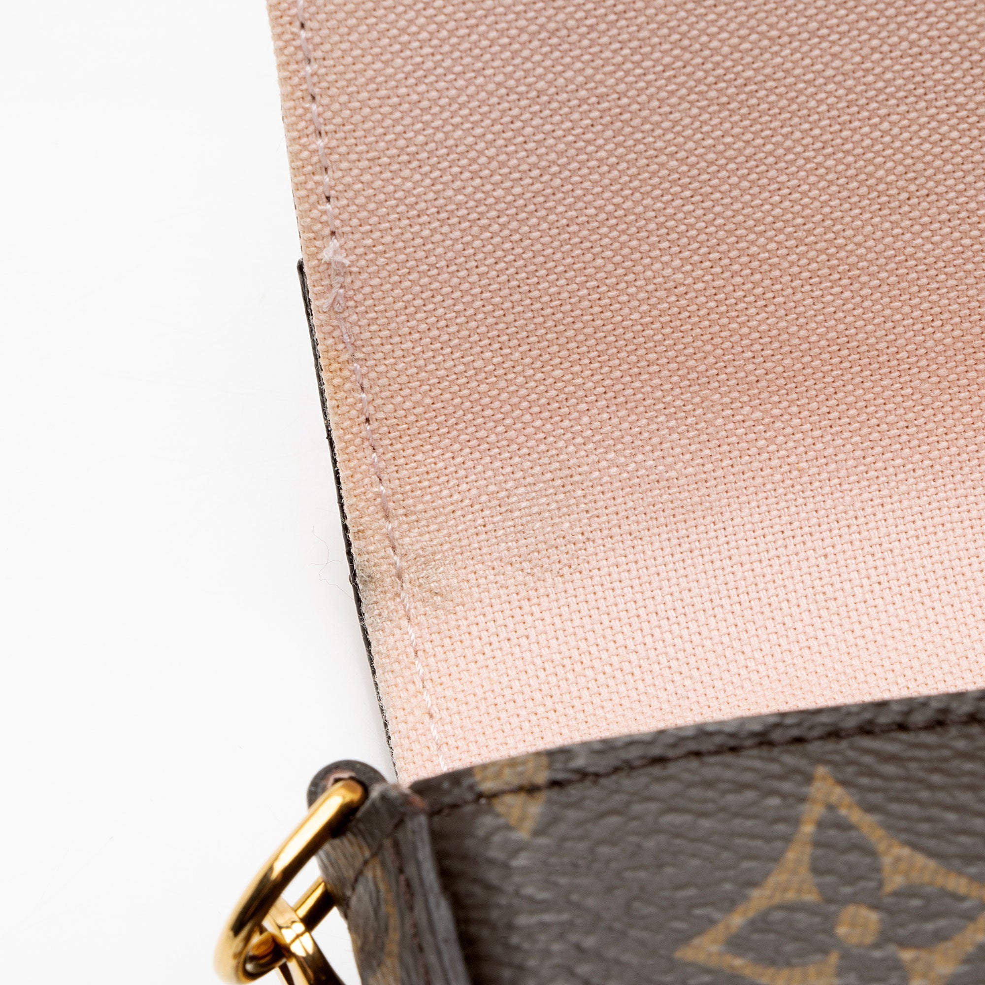 Louis Vuitton Limited Edition Monogram Canvas Valentine Dog Felicie Pochette