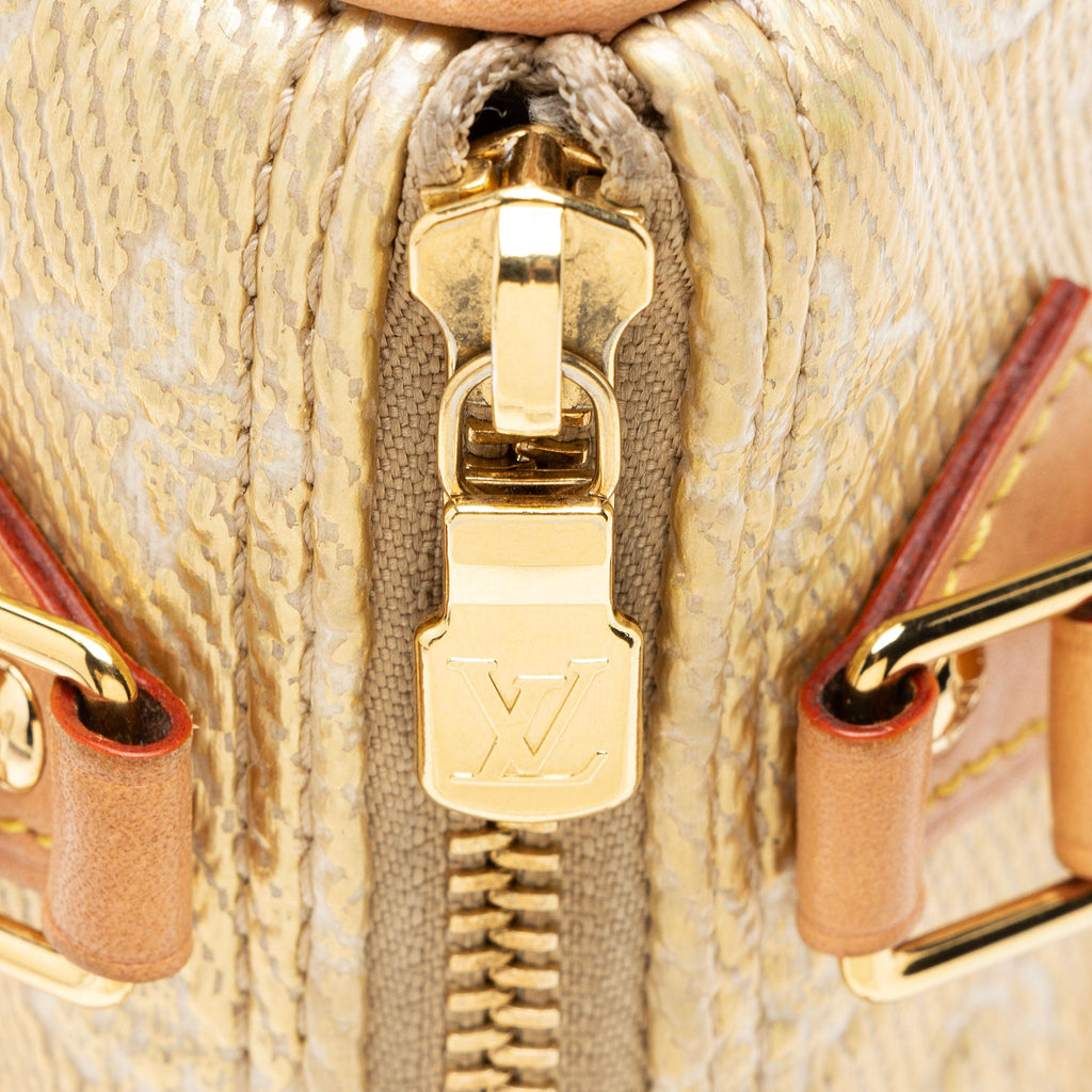 Louis Vuitton Metallic Monogram Jacquard Nano Speedy Satchel