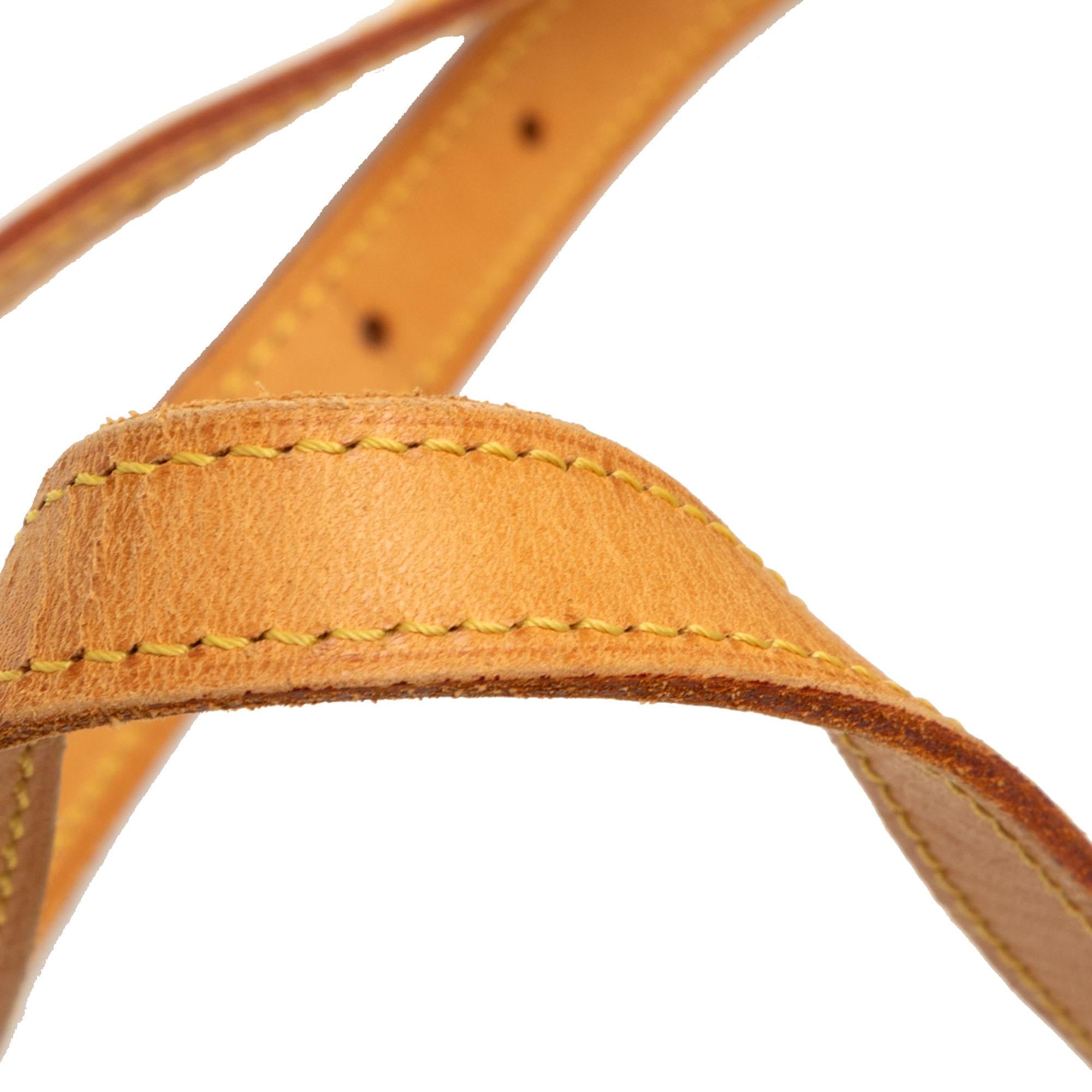 Louis Vuitton Monogram Bucket GM