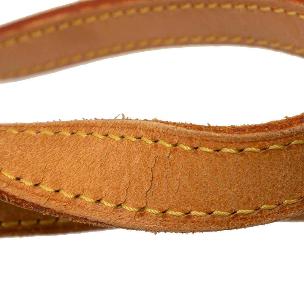 Louis Vuitton Monogram Bucket GM