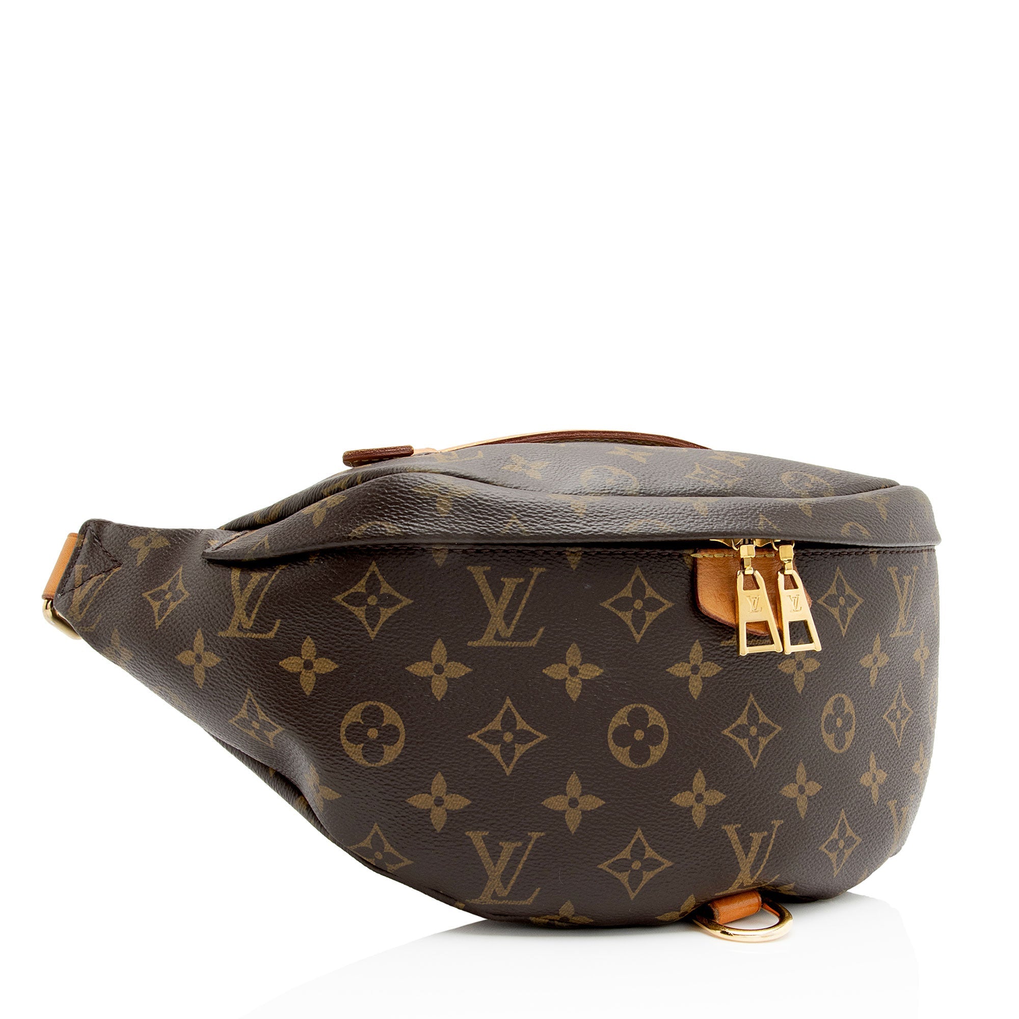 Louis Vuitton Monogram Canvas Bumbag (SHF-S8BZZN)
