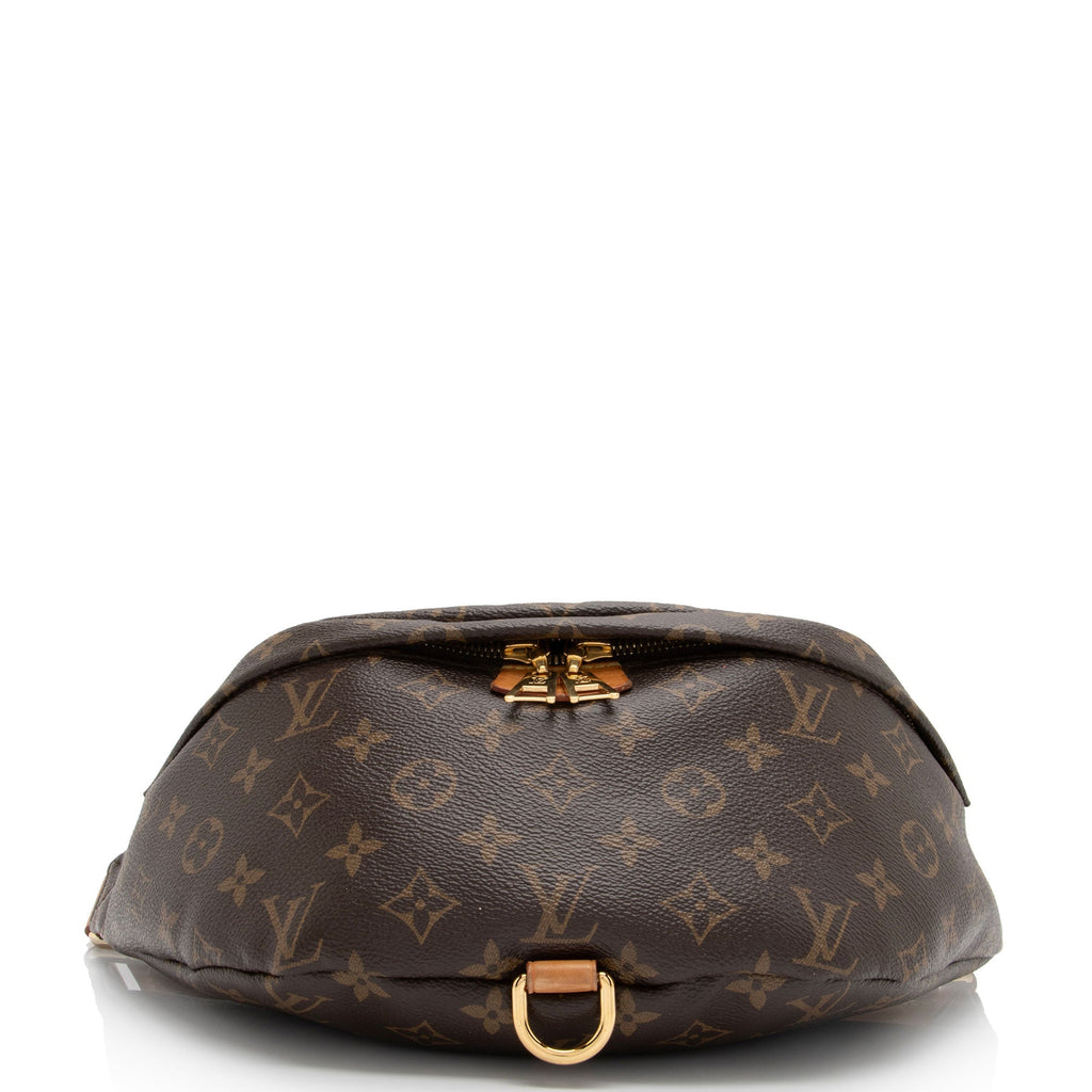 Louis Vuitton Monogram Canvas Bumbag (SHF-BfWtHC)