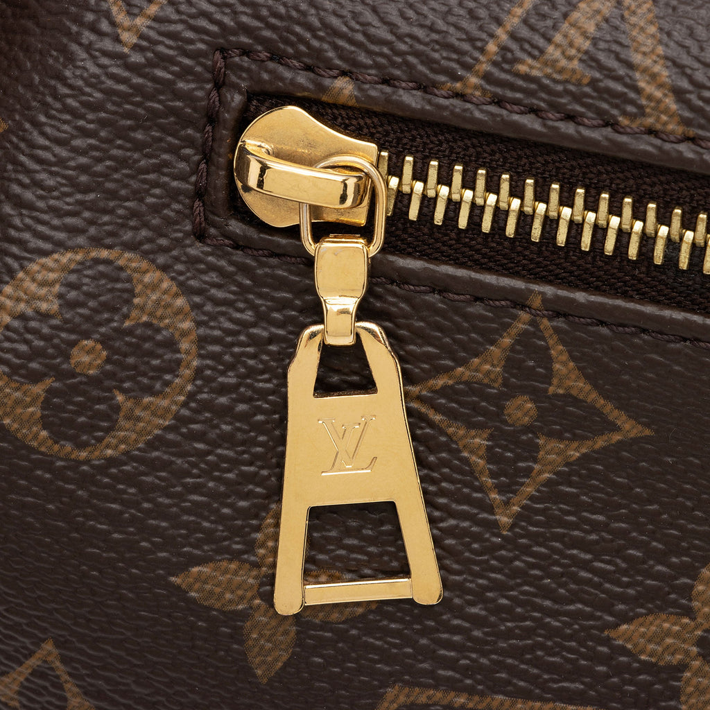 Louis Vuitton Monogram Canvas Bumbag (SHF-BfWtHC)