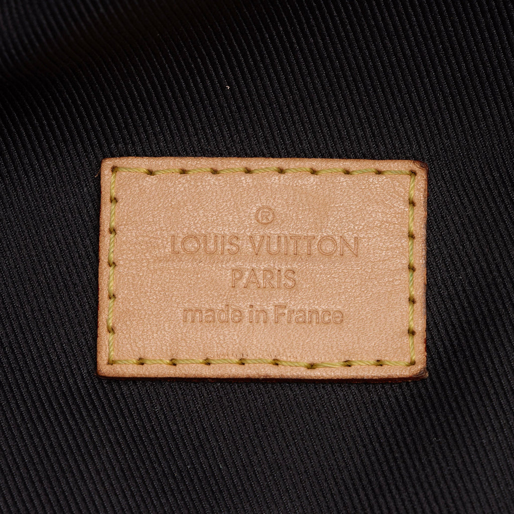 Louis Vuitton Monogram Canvas Bumbag (SHF-BfWtHC)