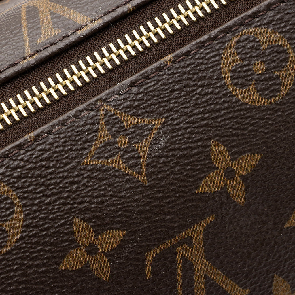Louis Vuitton Monogram Canvas Bumbag (SHF-nLrjfi)