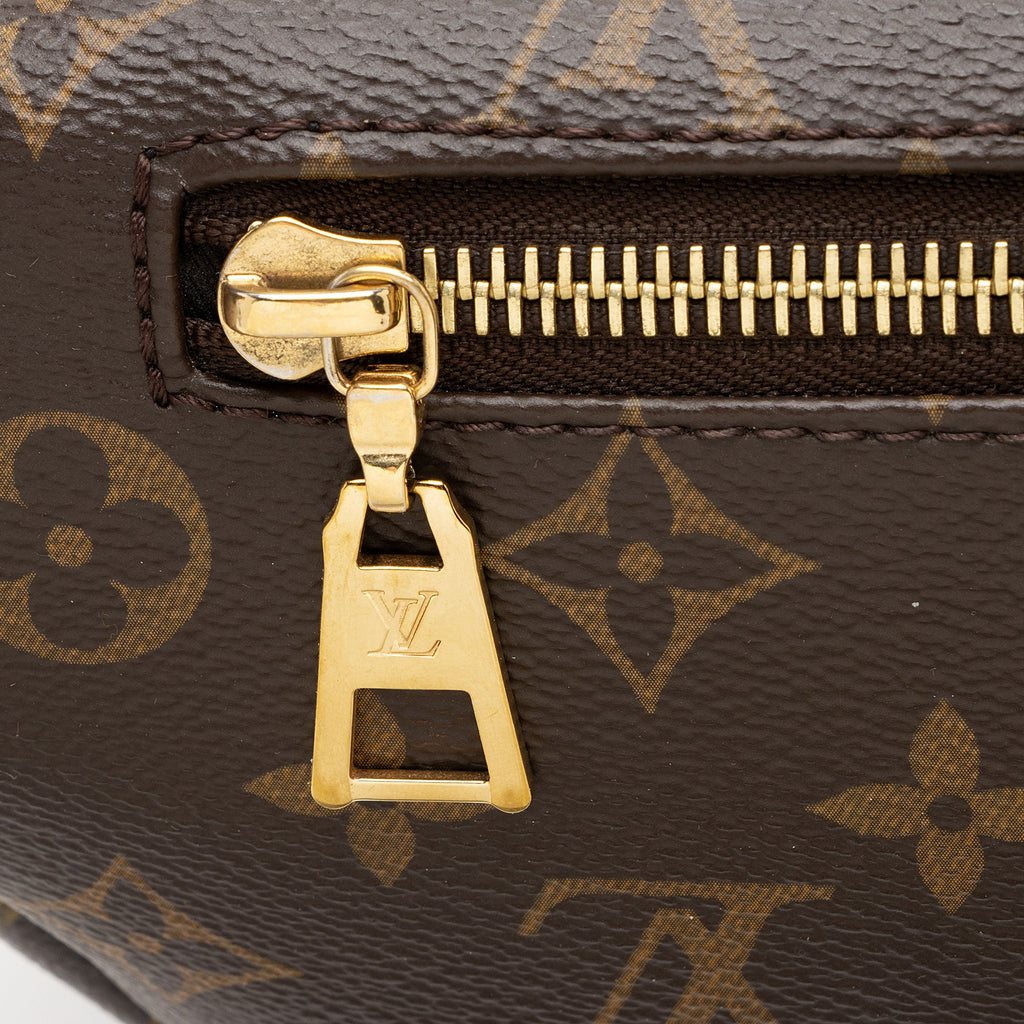 Louis Vuitton Monogram Canvas Bumbag (SHF-nLrjfi)
