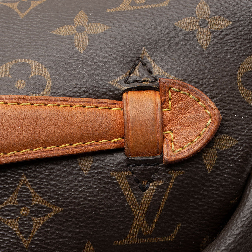 Louis Vuitton Monogram Canvas Bumbag (SHF-nLrjfi)