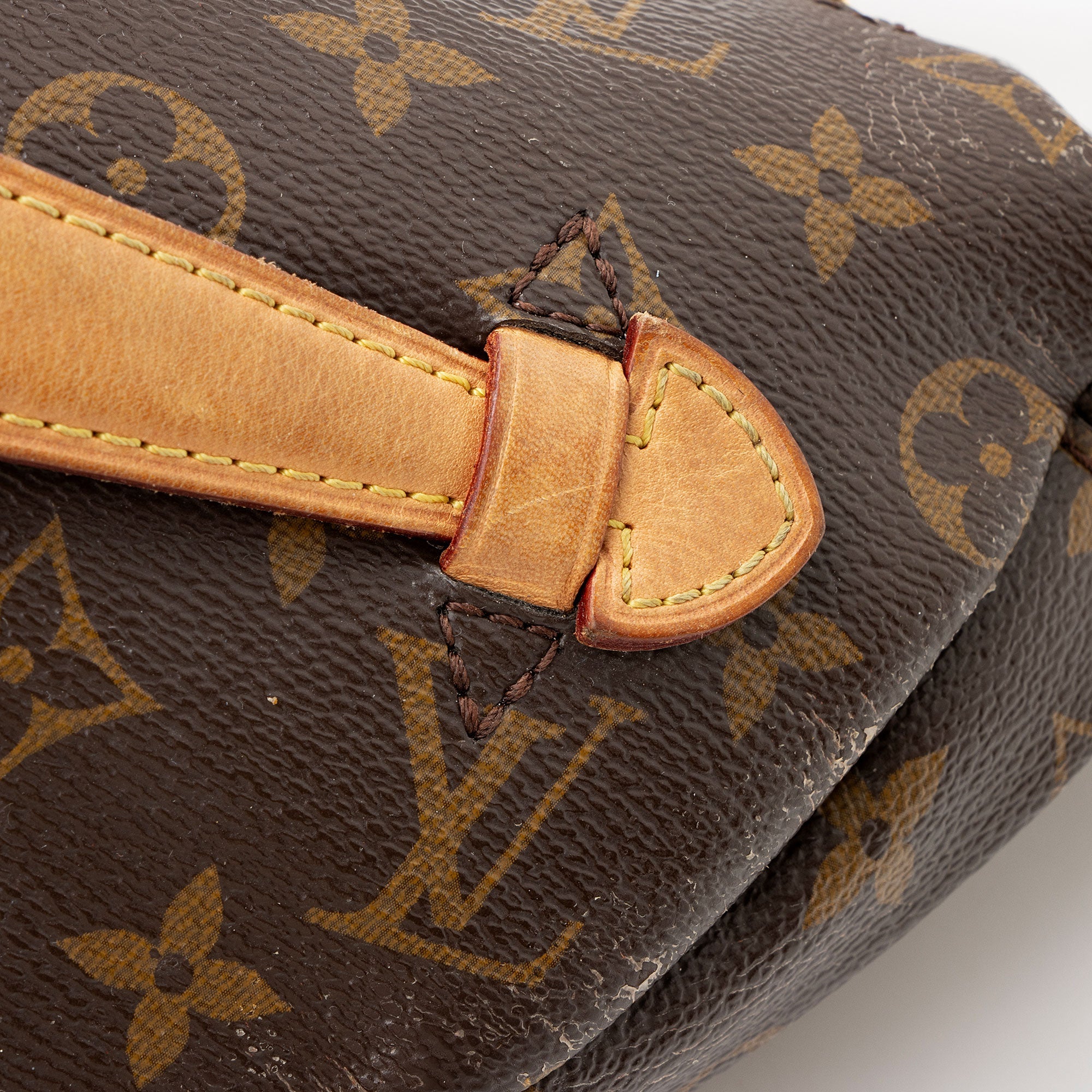 Louis Vuitton Monogram Canvas Bumbag