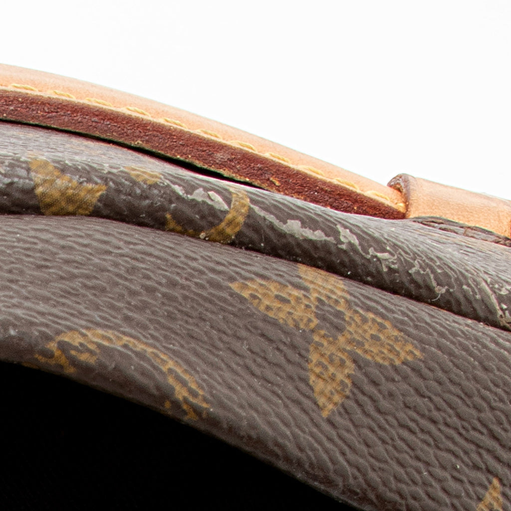 Louis Vuitton Monogram Canvas Bumbag