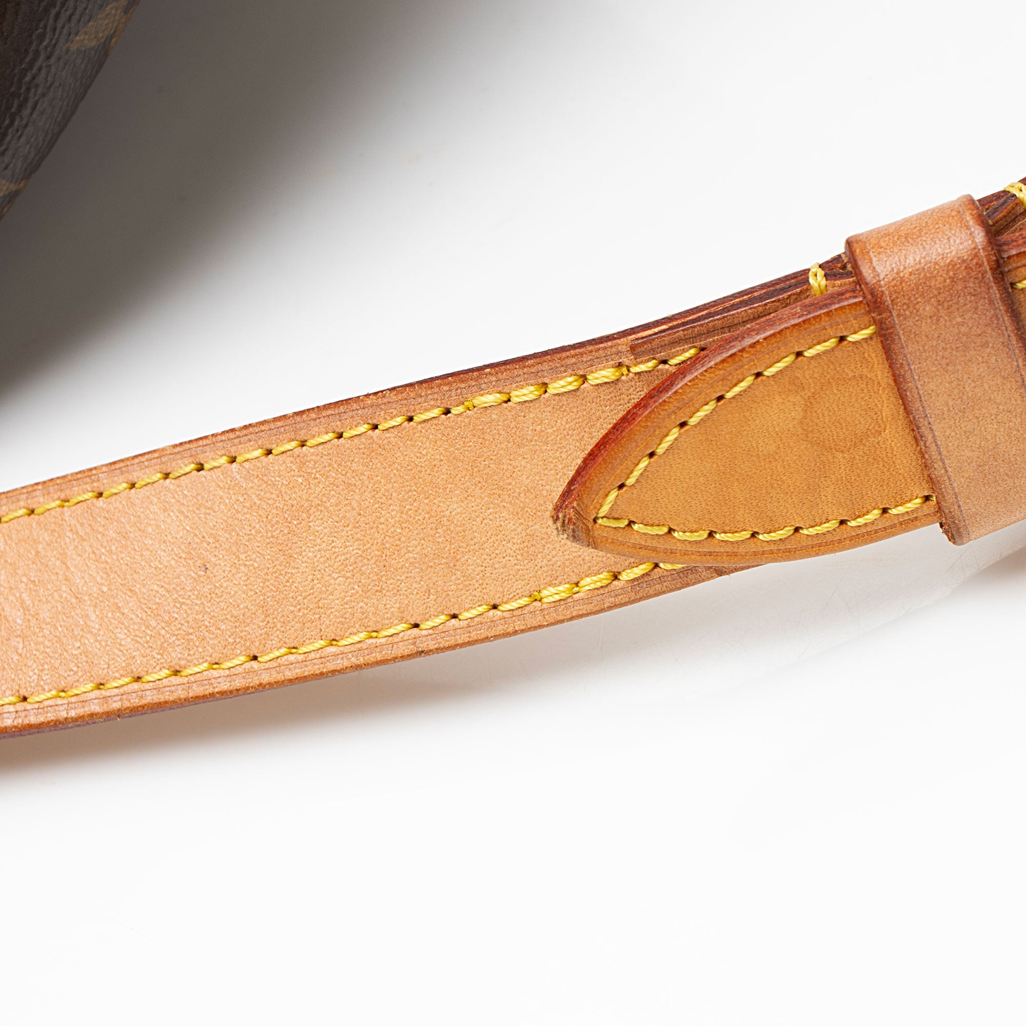 Louis Vuitton Monogram Canvas Bumbag