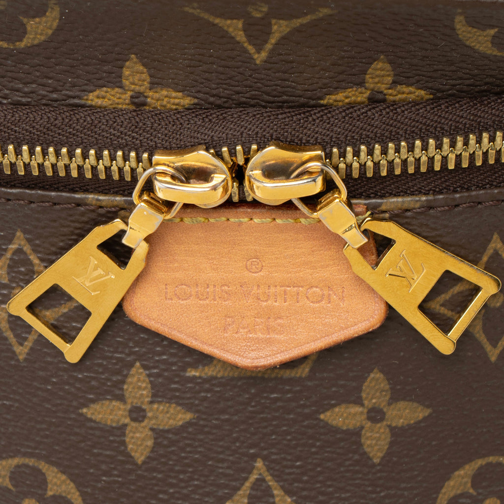 Louis Vuitton Monogram Canvas Bumbag