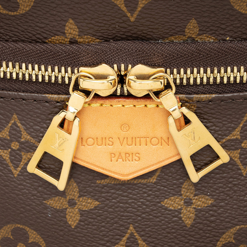 Louis Vuitton Monogram Canvas Bumbag