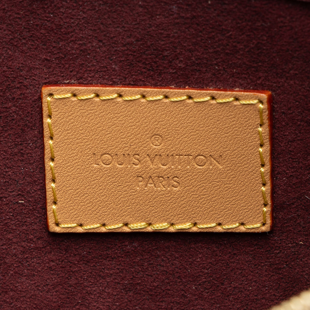 Louis Vuitton Monogram Canvas CarryAll MM Pochette