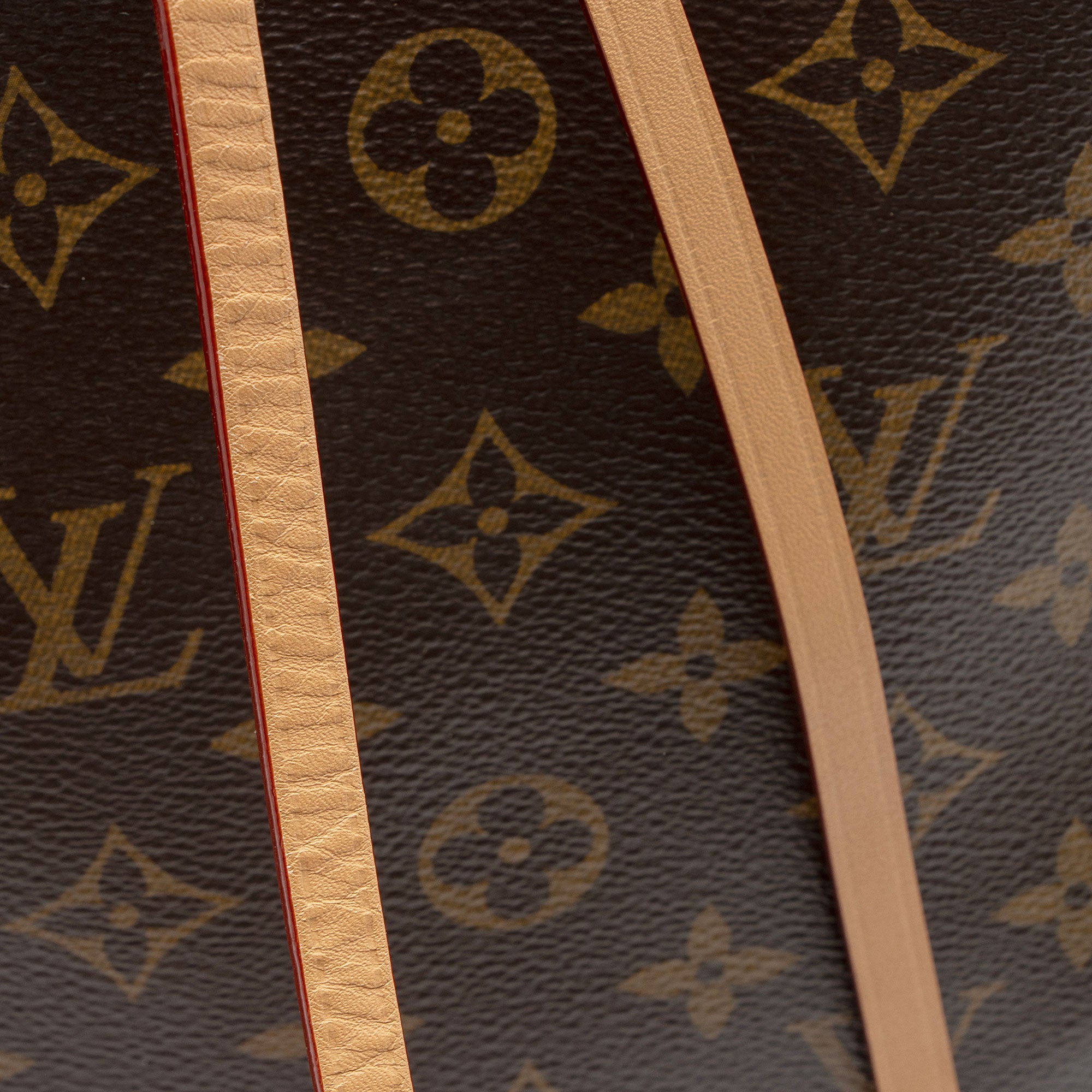 Louis Vuitton Monogram Canvas CarryAll MM Shoulder Bag