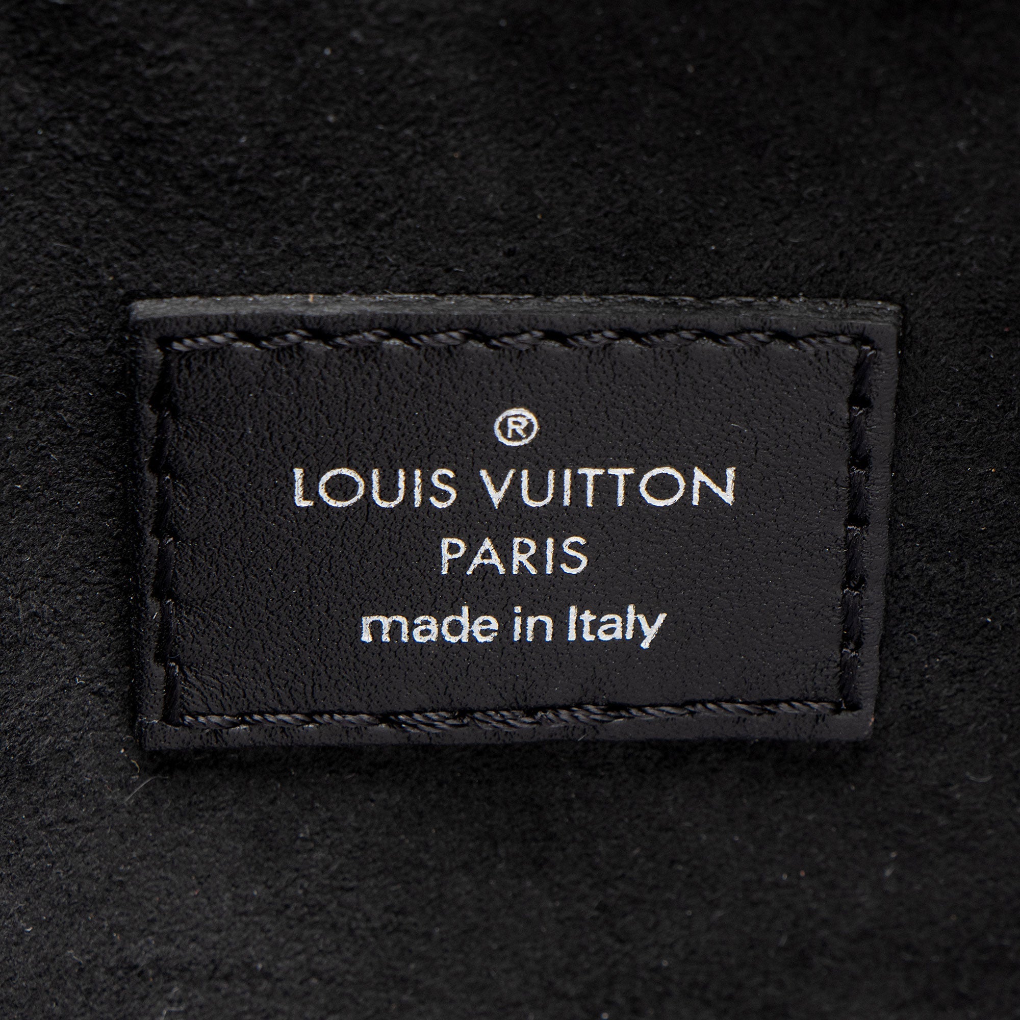 Louis Vuitton Monogram Canvas CarryAll Vibe Pochette