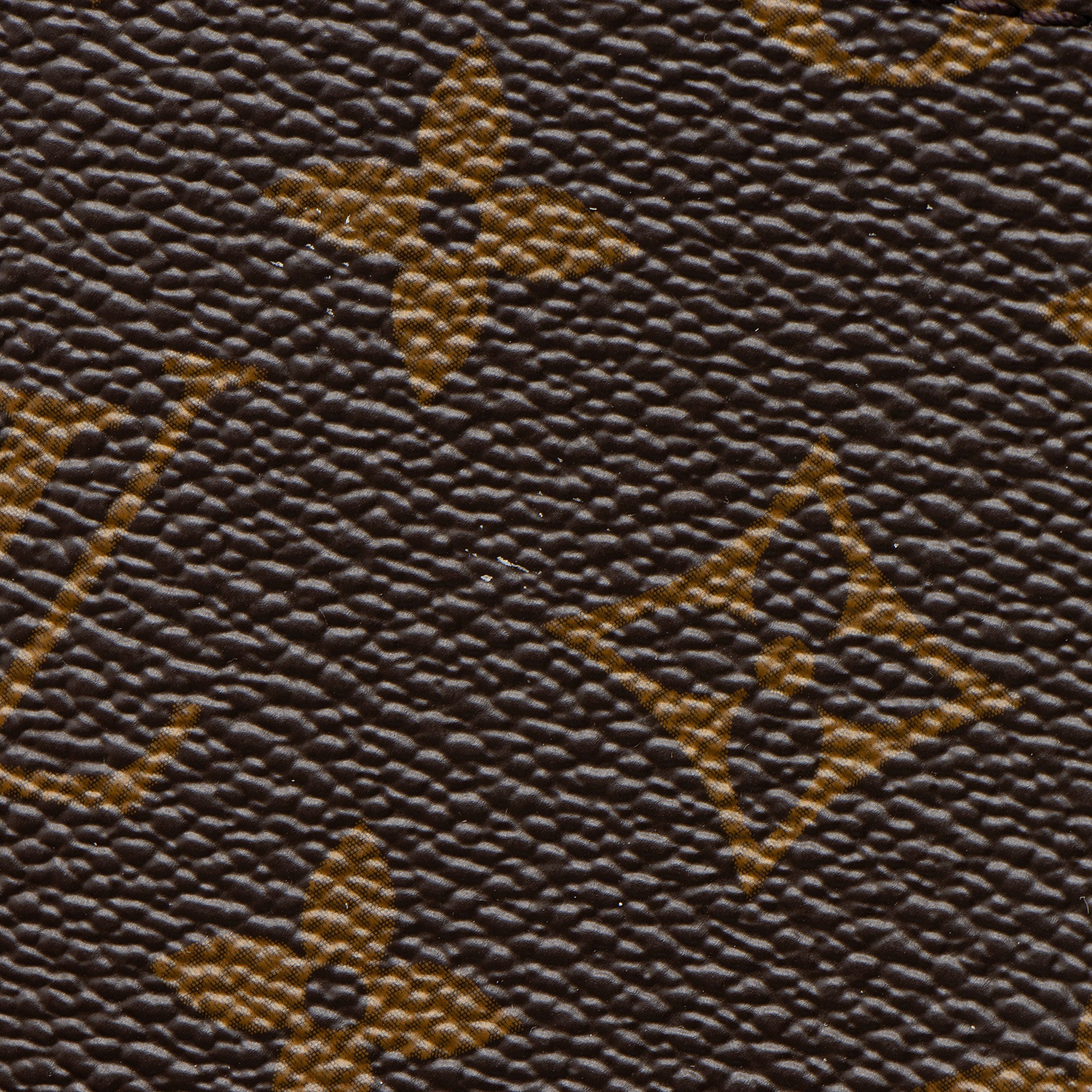 Louis Vuitton Monogram Canvas CarryAll Vibe Pochette