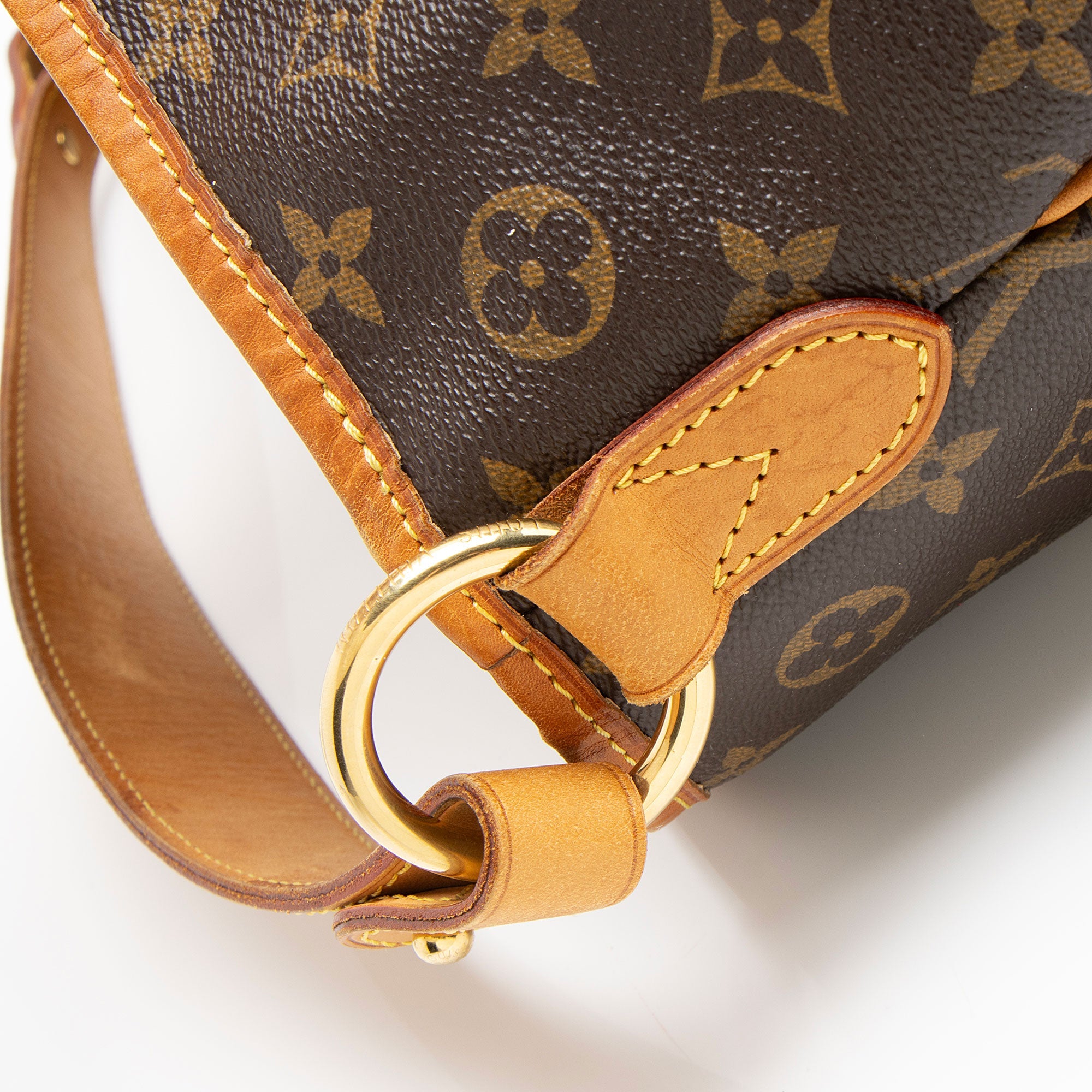 Louis Vuitton Monogram Canvas Delightful MM Shoulder Bag