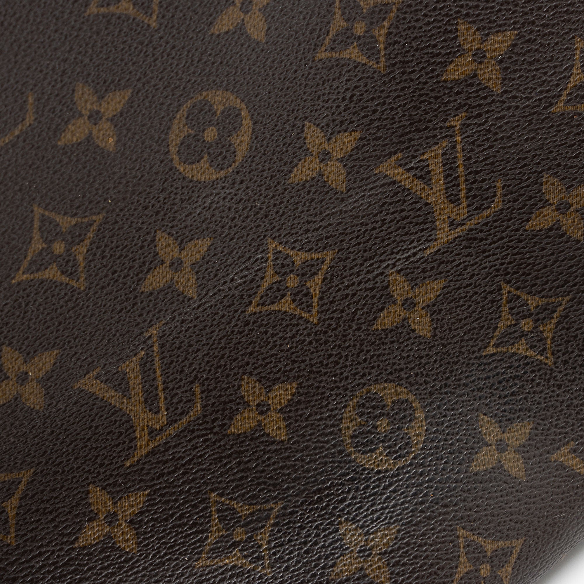 Louis Vuitton Monogram Canvas Delightful MM Shoulder Bag