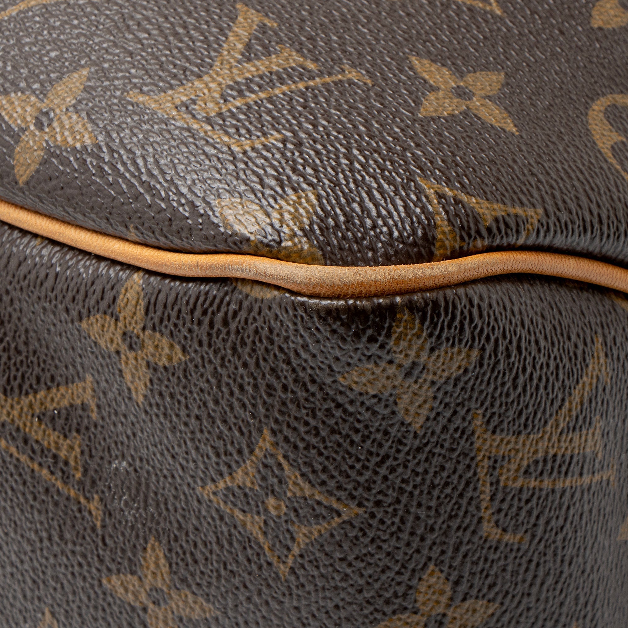 Louis Vuitton Monogram Canvas Delightful MM Shoulder Bag