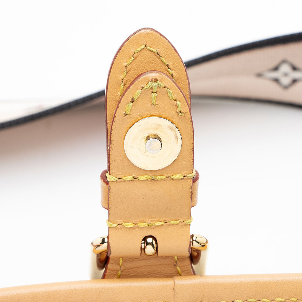 Louis Vuitton Monogram Canvas Diane Shoulder Bag