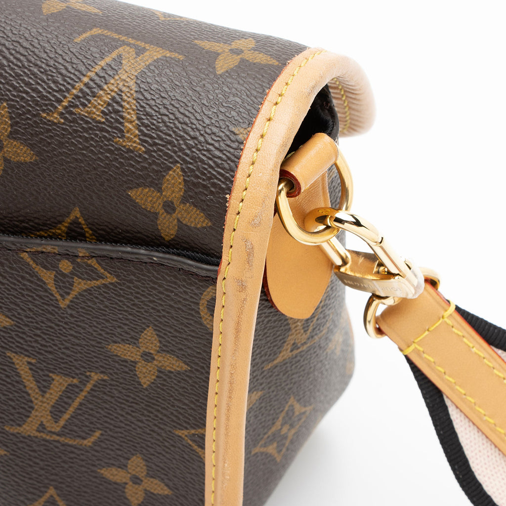 Louis Vuitton Monogram Canvas Diane Shoulder Bag