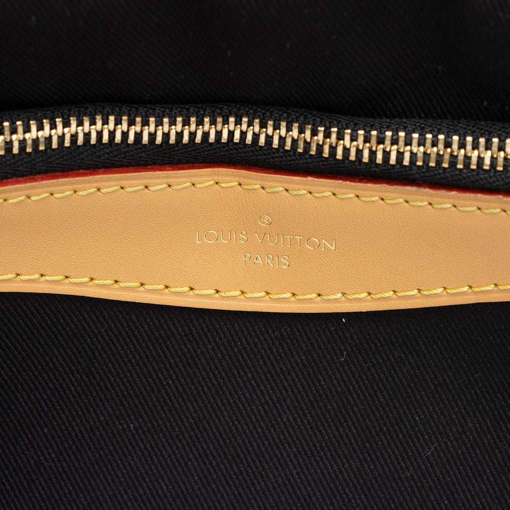 Louis Vuitton Monogram Canvas Diane Shoulder Bag