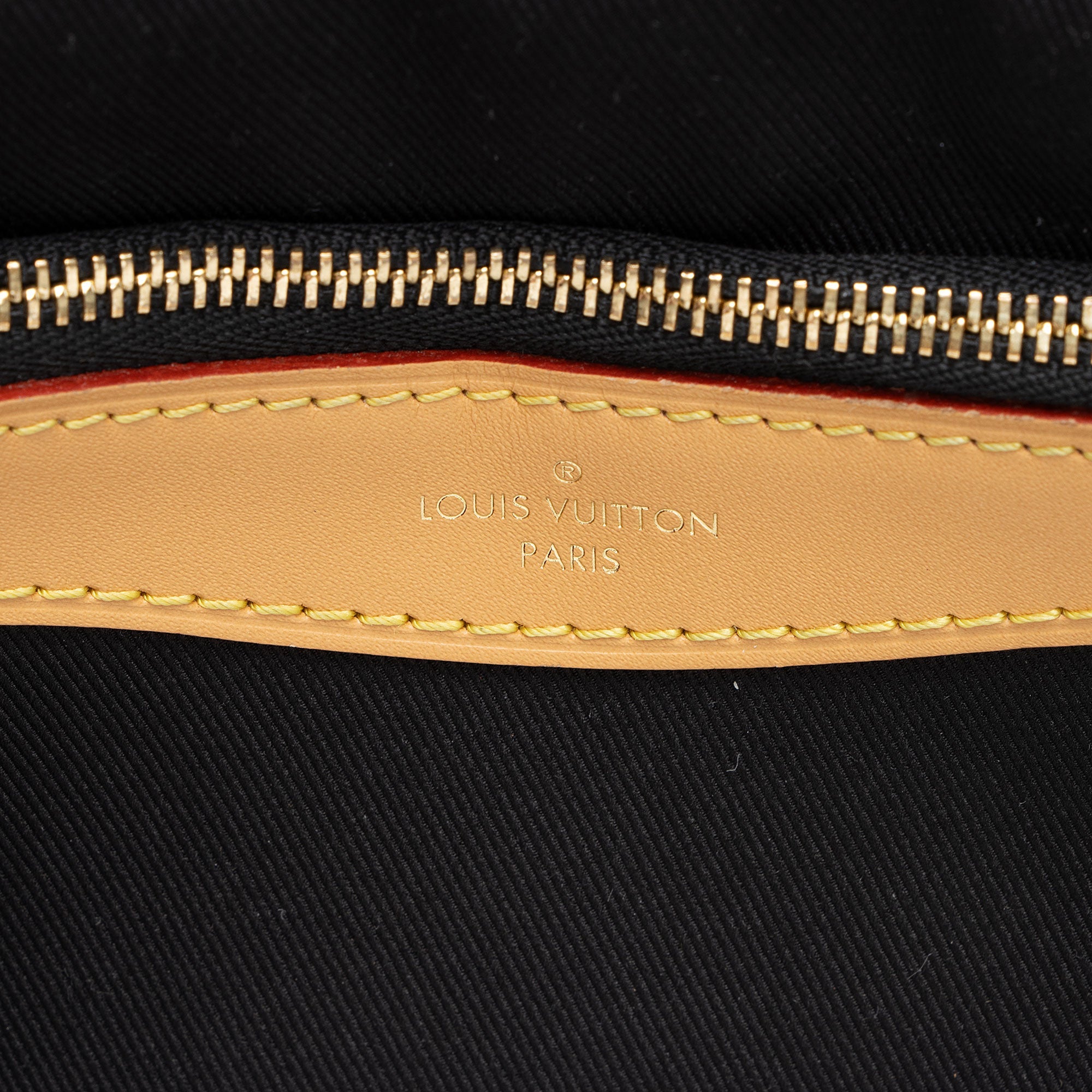Louis Vuitton Monogram Canvas Diane Shoulder Bag