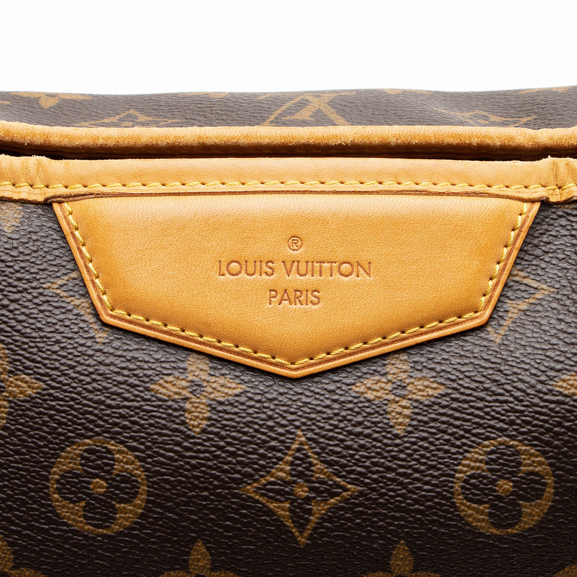 Louis Vuitton Monogram Canvas Estrela MM Tote
