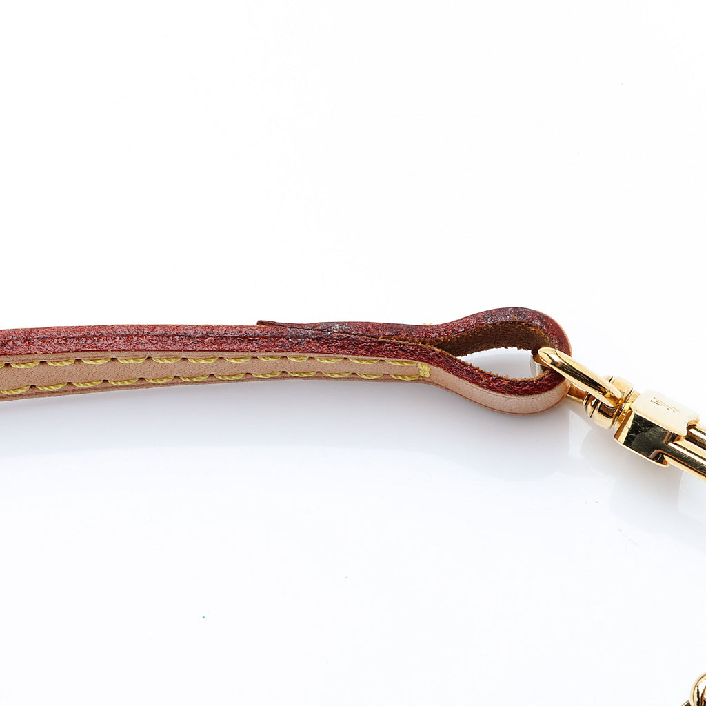 Louis Vuitton Monogram Canvas Eva Clutch (SHF-0Ct94Q)