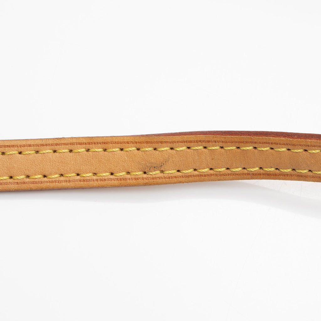 Louis Vuitton Monogram Canvas Eva Clutch (SHF-AbJ6dZ)