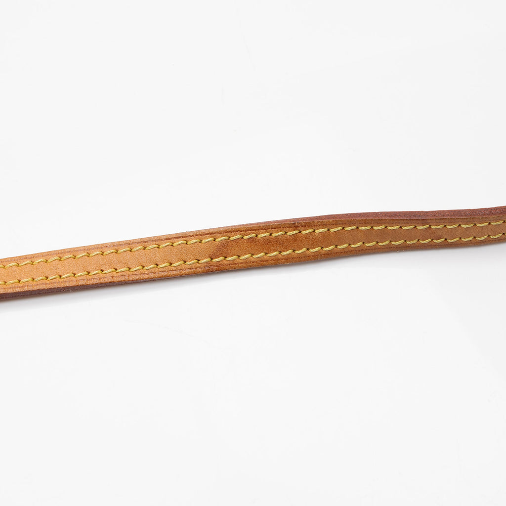 Louis Vuitton Monogram Canvas Eva Clutch (SHF-ihjcas)