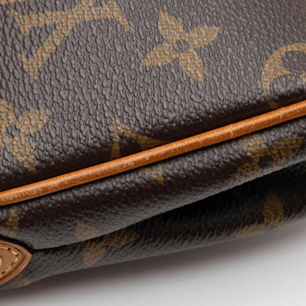 Louis Vuitton Monogram Canvas Eva Clutch