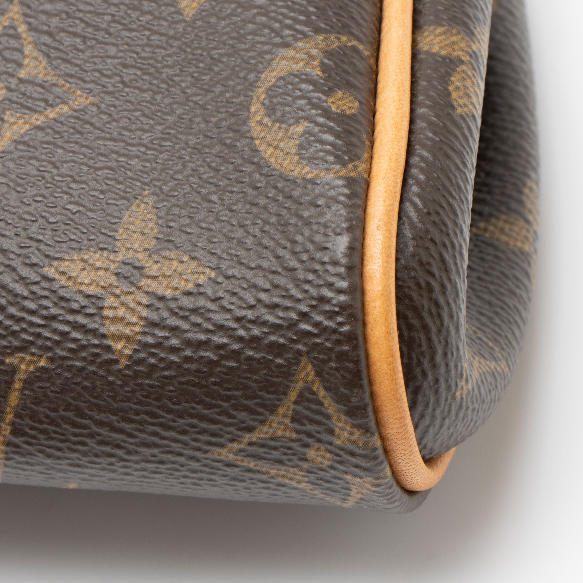 Louis Vuitton Monogram Canvas Eva Clutch
